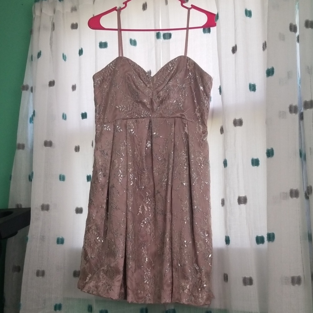 Blush and silver lace dress w/pockets